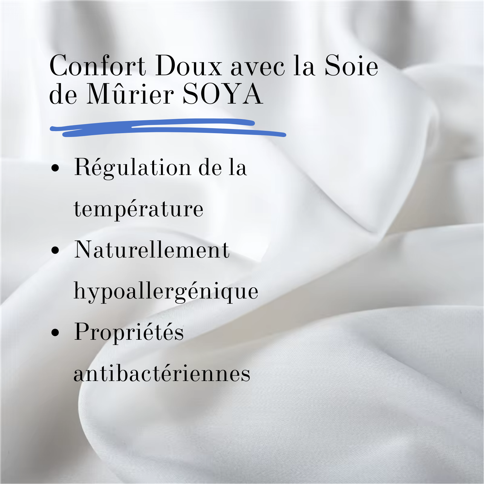 Housse d’Oreiller en Soie Naturelle Soya