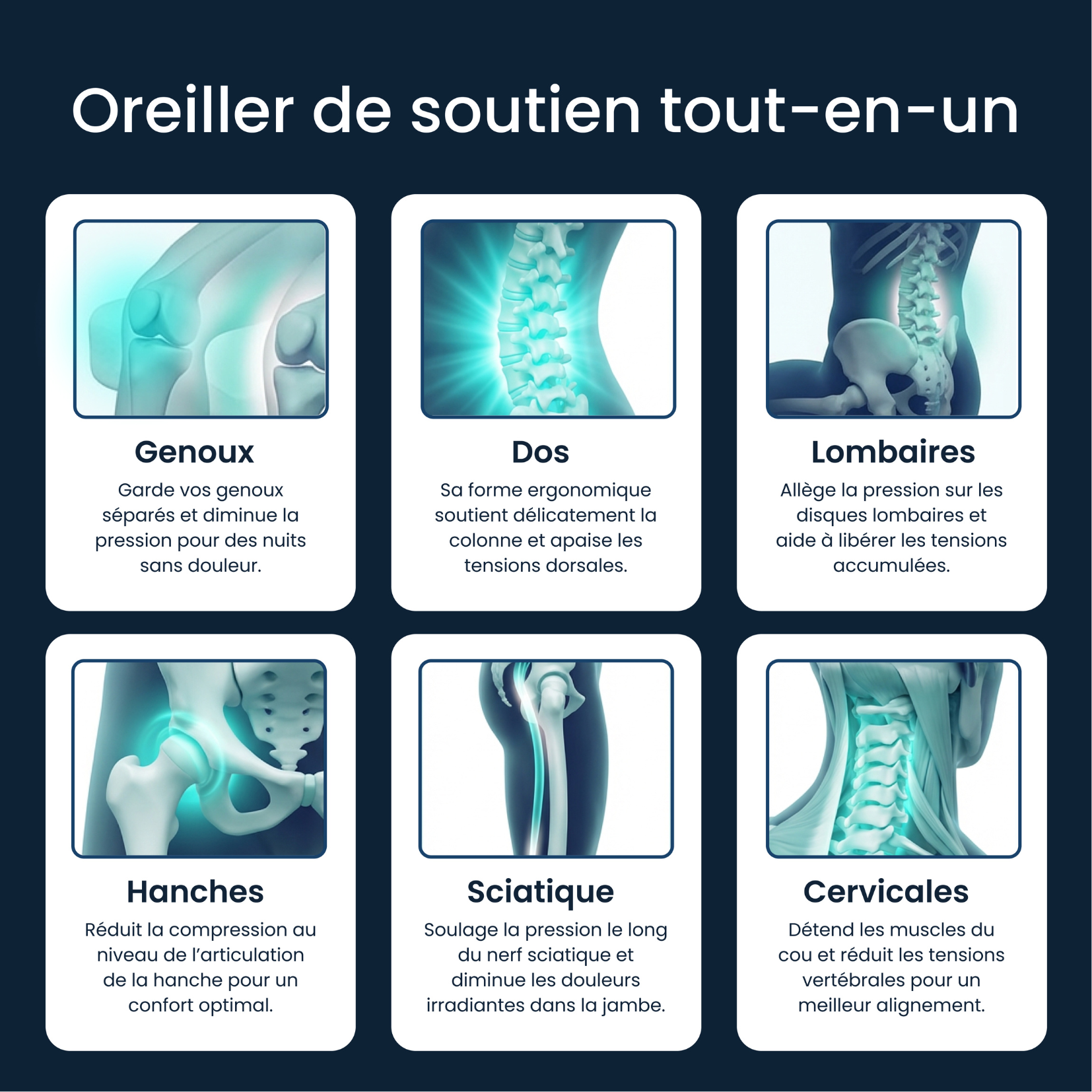 Coussin Lombaire Ergonomique Soya